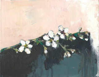 Fleurs d