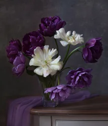 Bouquet de tulipes blanches et violettes