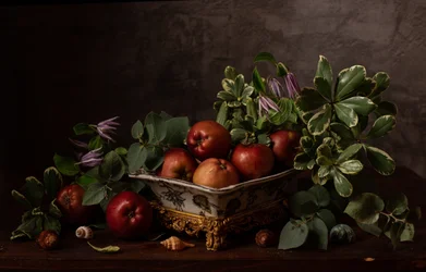 Nature morte rustique aux fruits