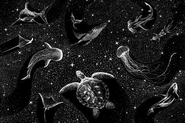 Animaux de l