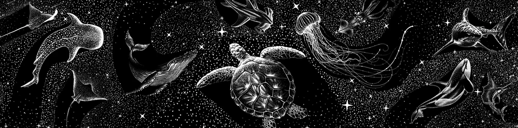 Créatures de l