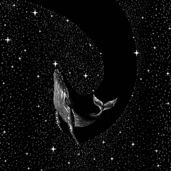 Baleine cosmique