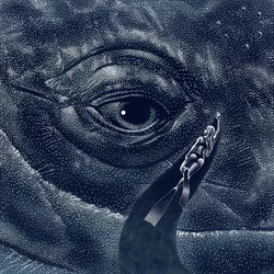 Rencontre avec les baleines dans les profondeurs de l