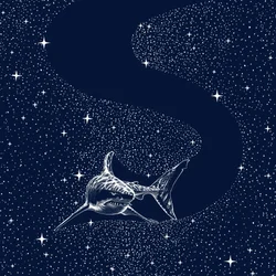 La Grande Galaxie Blanche
