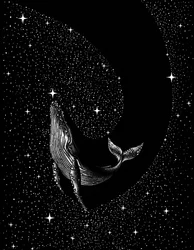 La majestueuse baleine de l