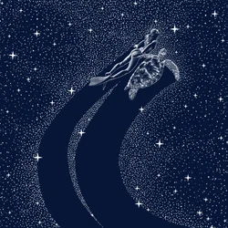 Starry Ocean : Journey
