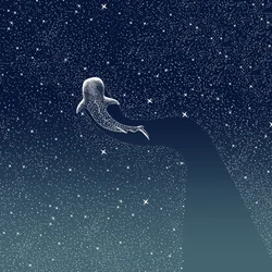 La Galaxie du Requin-baleine