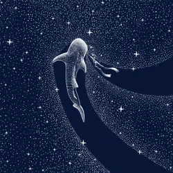 Voyage dans la galaxie des requins-baleines