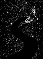 Une baleine à la lueur des étoiles