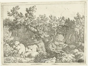 Paysage avec chasseur près d