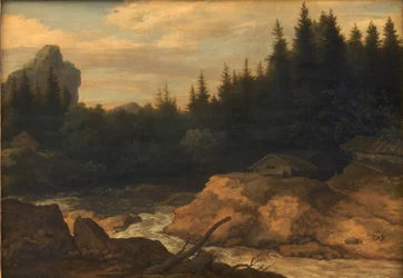 La rivière dans la forêt de pins