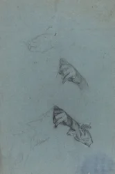 Études de main [verso]