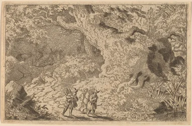 Une forêt dense