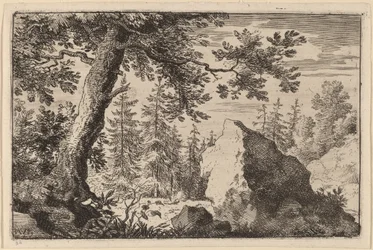 Rocher dans les bois