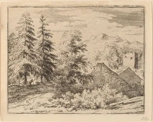 Homme entre deux sapins