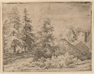 Homme entre deux sapins