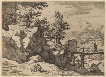 Homme sur un petit pont en bois