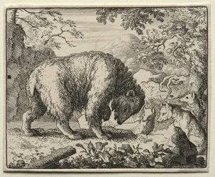 Renard le goupil : Renard promet du miel à l