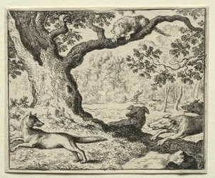 Reynard le Renard : Le Chat Déloyal