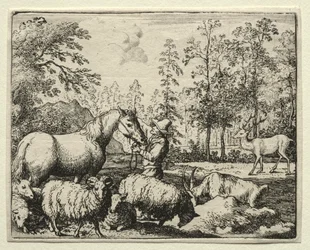 Reynard le Renard : Le cheval jaloux