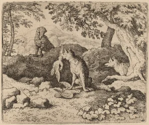 Le blaireau va avertir Renard, probablement vers 1645-1656