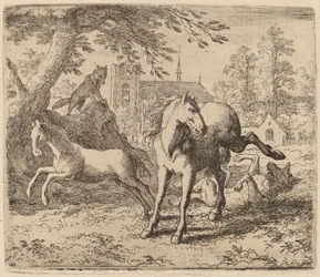 La jument et le loup