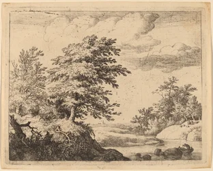 Rivière sinueuse