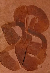 Courbes aux textures terreuses