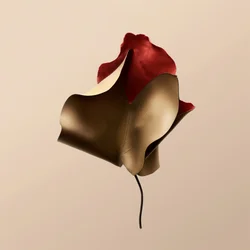 Élégante fleur en cuir