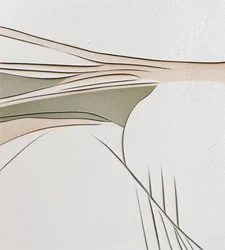 Lignes abstraites fluides