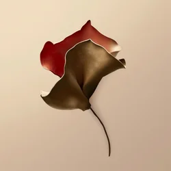 Forme de fleur repliée