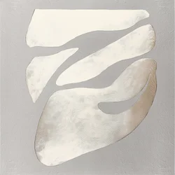 Formes fluides et neutres