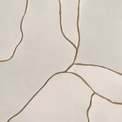 Lignes fluides et organiques
