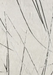 Lignes organiques et textures