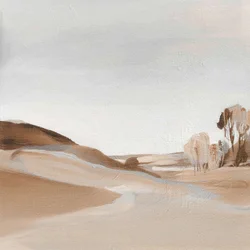 Paysage désertique serein