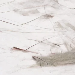Des lignes fluides et subtiles