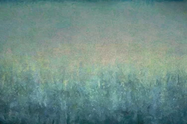 Paysage brumeux et onirique