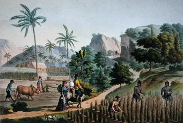 Île de Guam : Travaux agricoles, de 