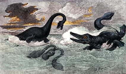 Période Lias (Jurassique Inférieur) : Plésiosaure et Ichtyosaure, création naturelle et êtres vivants (par Jules Rengade) Dessin par A. Demarle. 1885