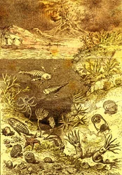 Préhistoire-Fin de la période silurienne: Création naturelle et êtres vivants (J. Rengade) Dessin A. Demarle. 1885