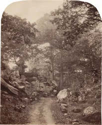 Fontainebleau,c. 1860s (photo)
