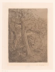 Deux arbres