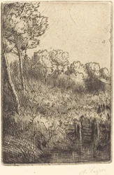 Le long de la Marne
