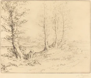 Le long de la rive