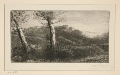 Coucher du soleil