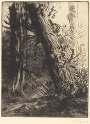 Bord de Ruisseau