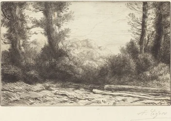 Lisière de bois