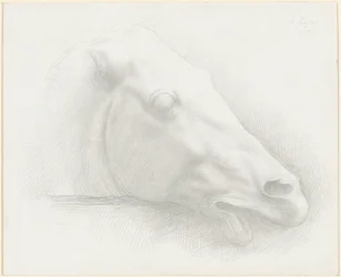 Tête de cheval du Parthénon, 1898