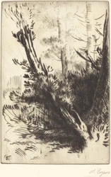 Dans les bois