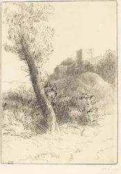 Paysage